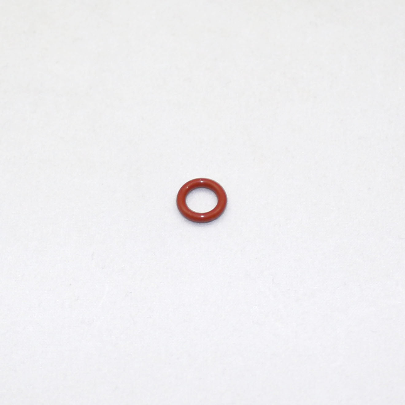 Small red rubber O-ring on a white background